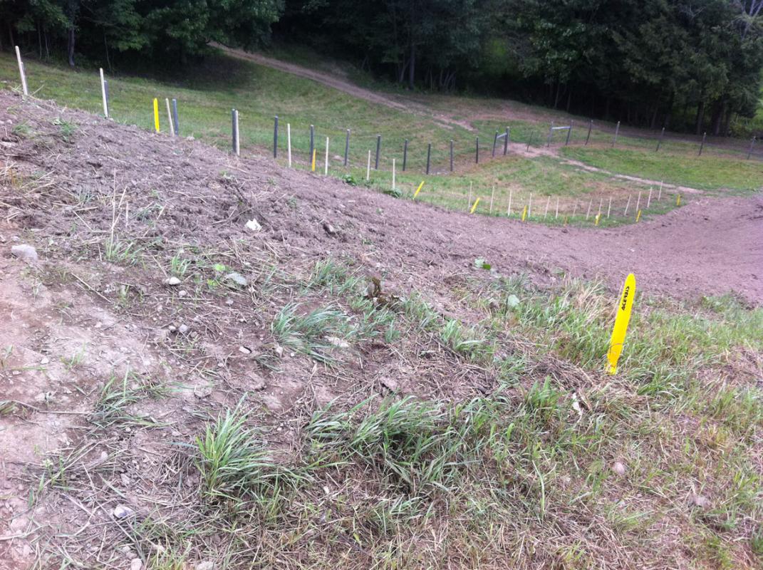 Take a trip around Unadilla with photos by DC