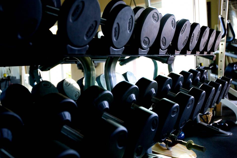 Racer X Films: Ryno Power