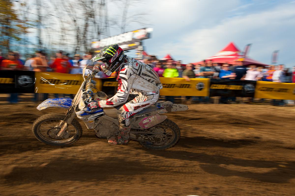 Paul Whibley // Photo: Shan Moore