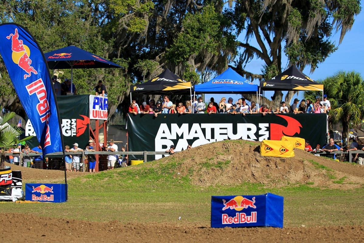 Fan checking out all the action