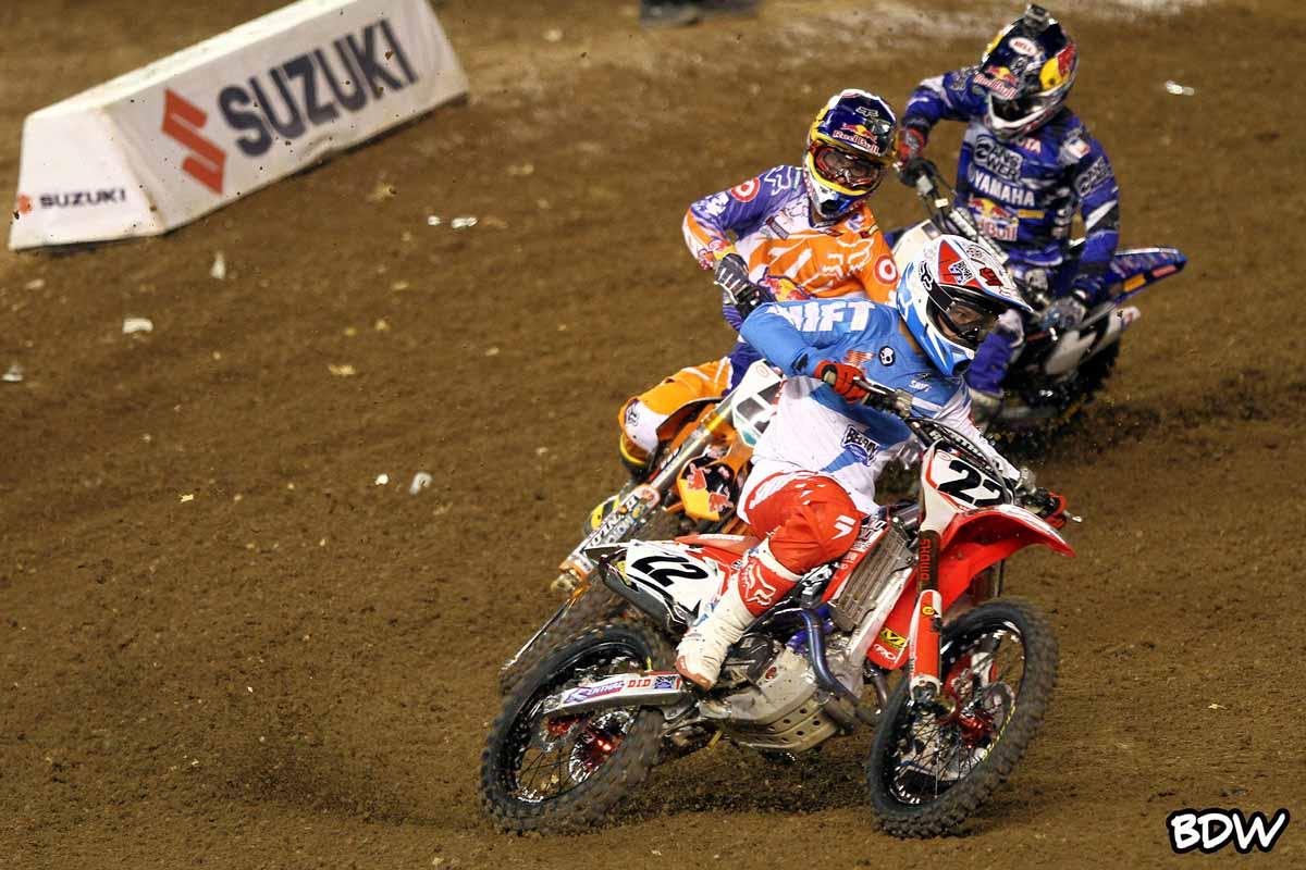 Reed, Dungey and Stewart // BrownDogWilson