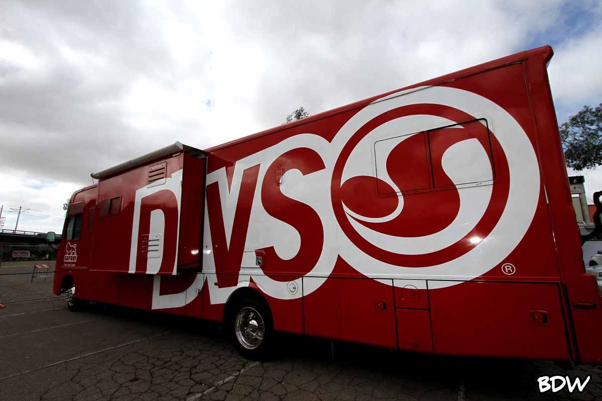 DVS // BrownDogWilson