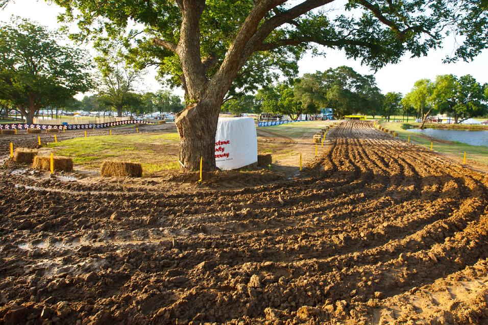 How to Watch: Freestone