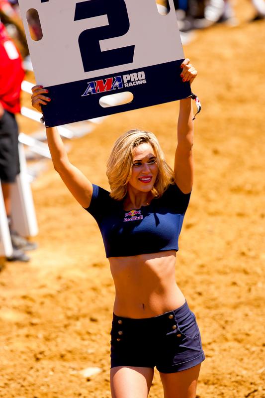 Red Bull moto card girl.