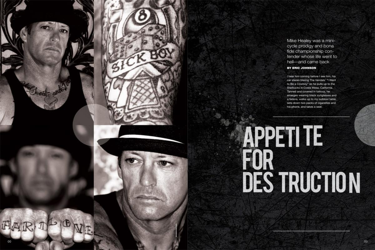 APPETITE FOR DESTRUCTION 