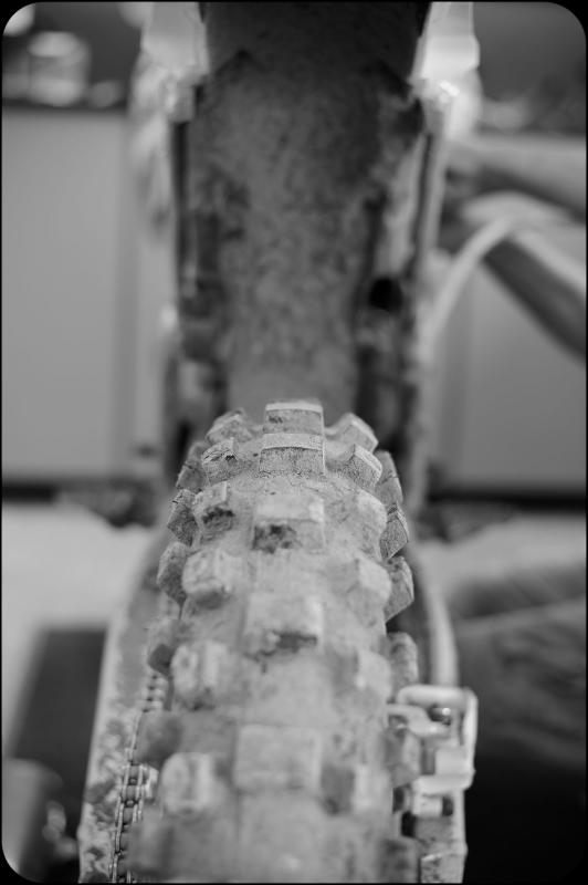 ReedFLA912-Cudby-178