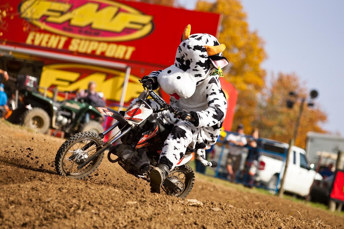 Pit bike team race. Moooooo