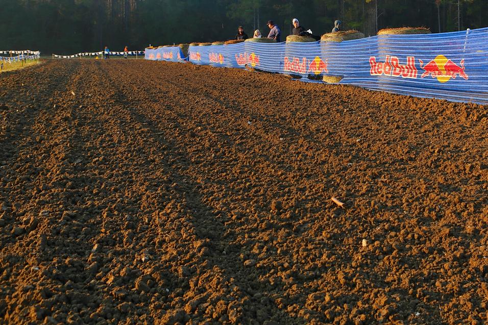 The List: Trends  at the Mini O's