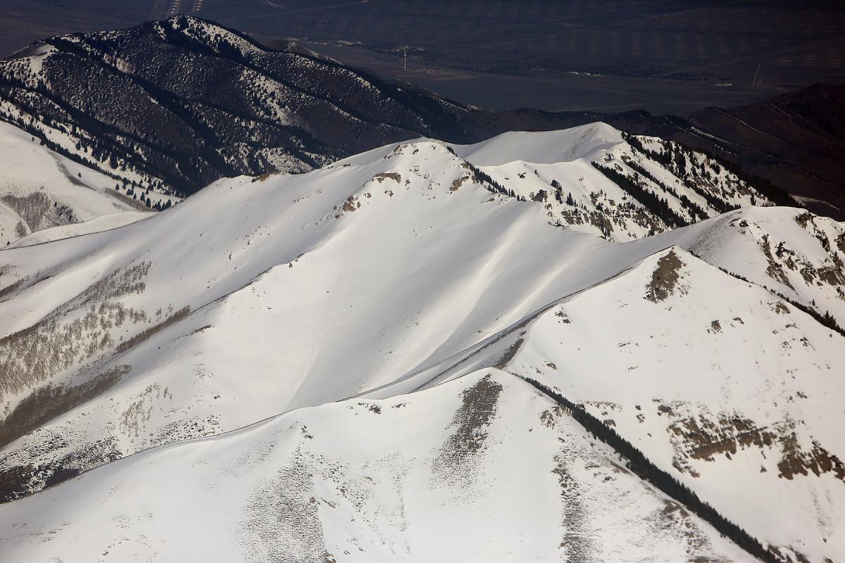 A Different View: SLC