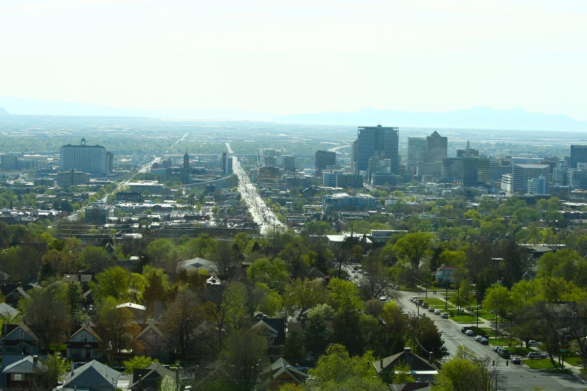 A Different View: SLC