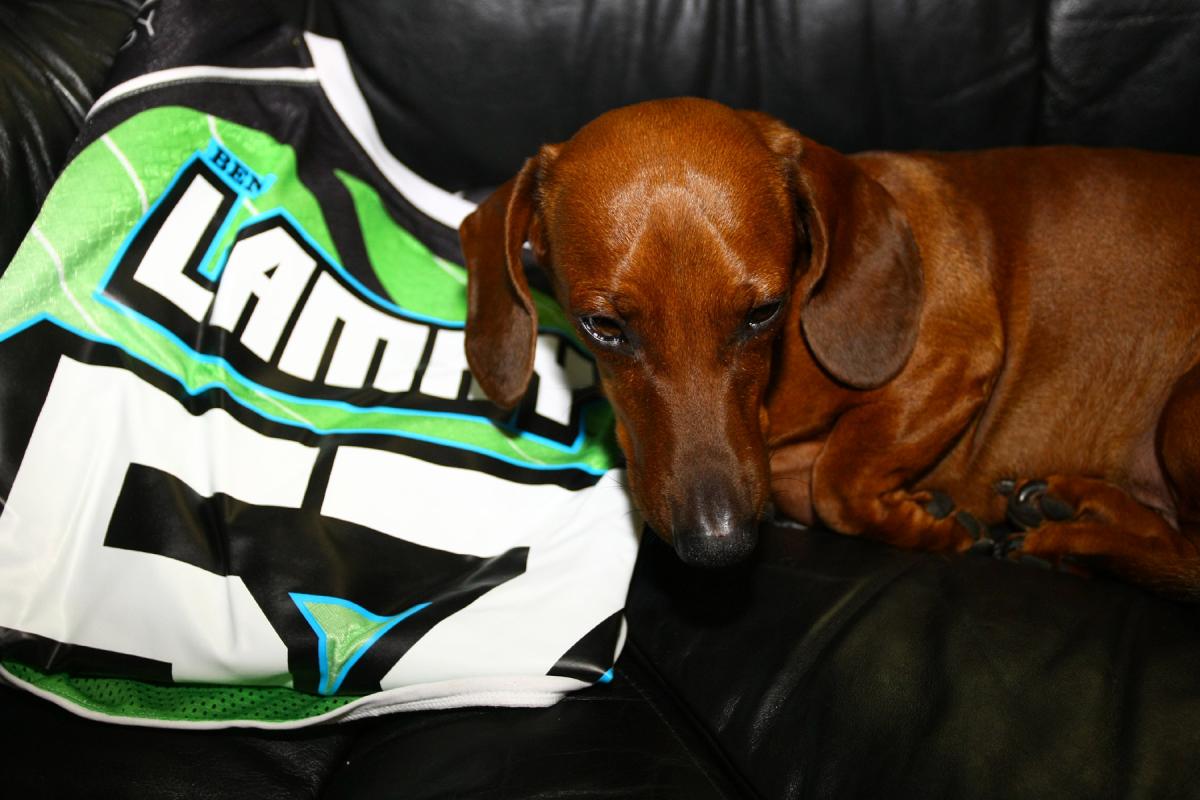 A Different View: Las Vegas