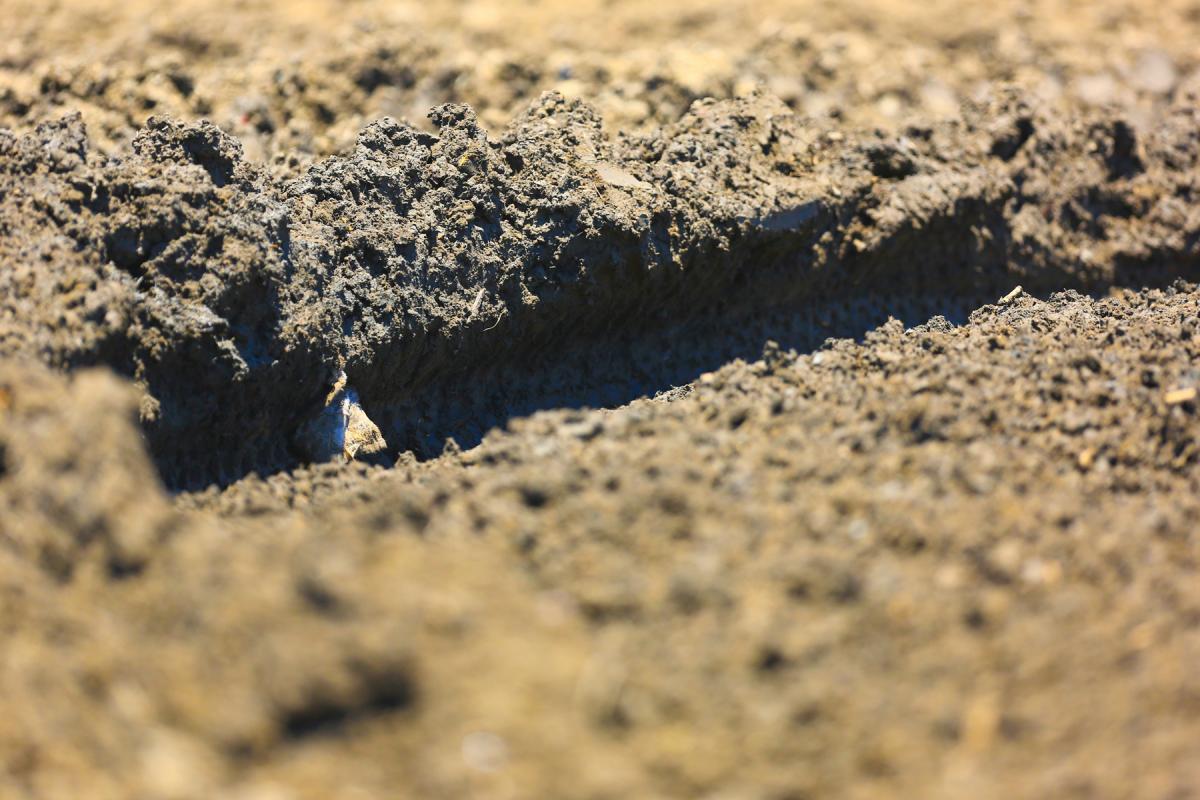 Lake Elsinore Pro Ride Day