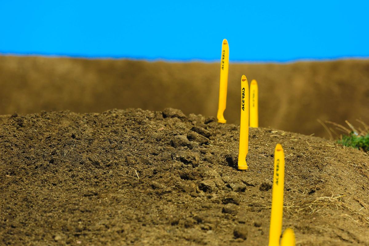 A Different View: Hangtown