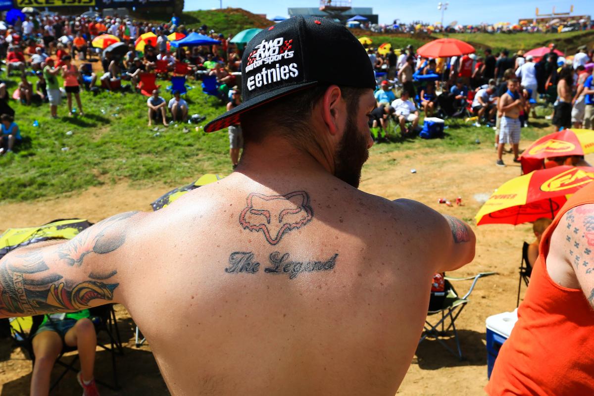 A Different View: Muddy Creek