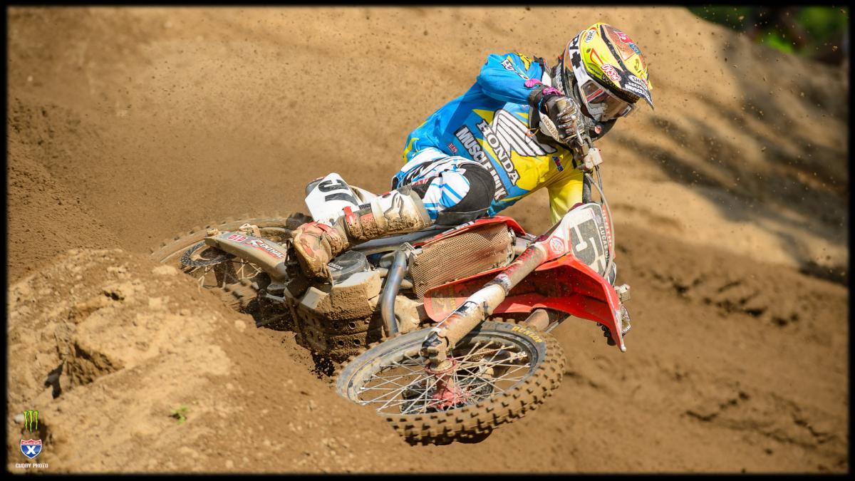 Barcia