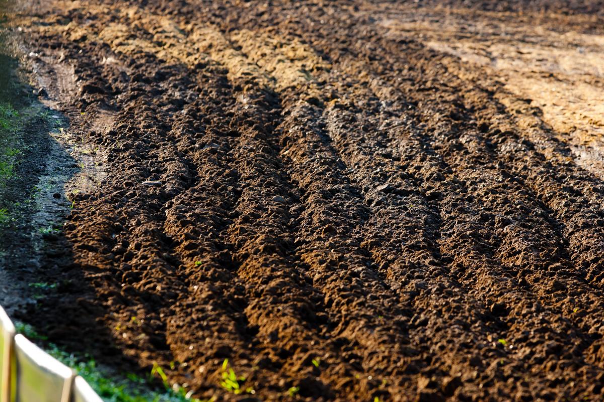 Unadilla dirt.
