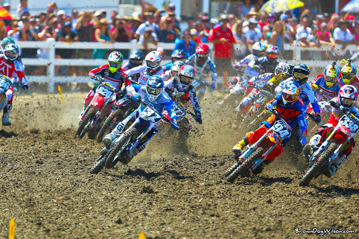 BDW53466-2732258862-O