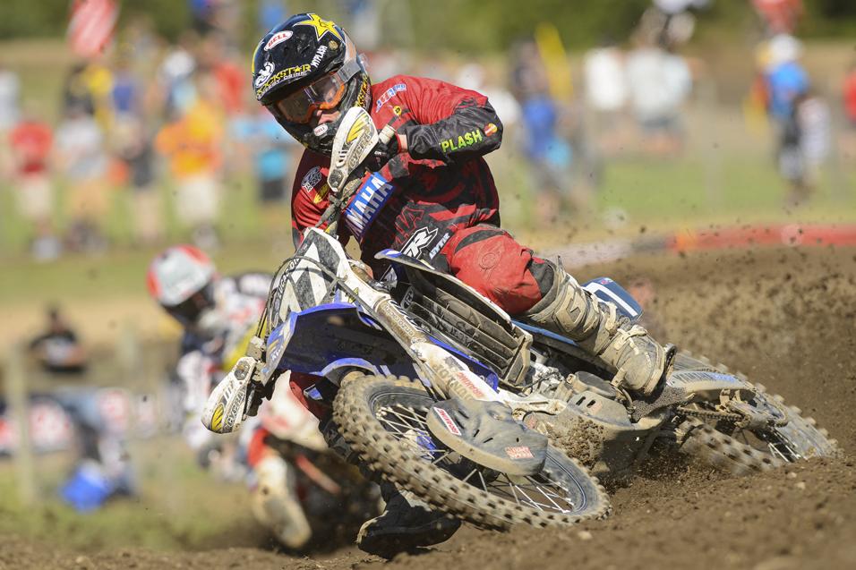 250 Words: Rookie Class