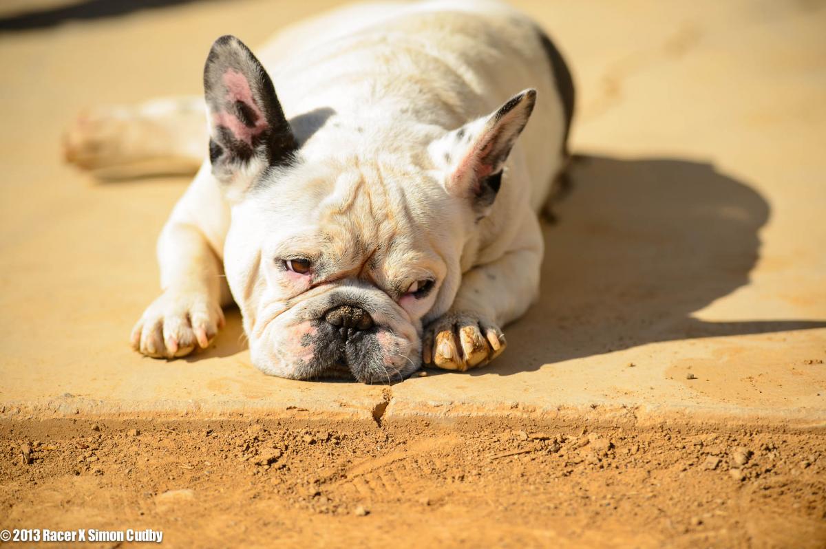 RV-Kawi1013-Cudby-019