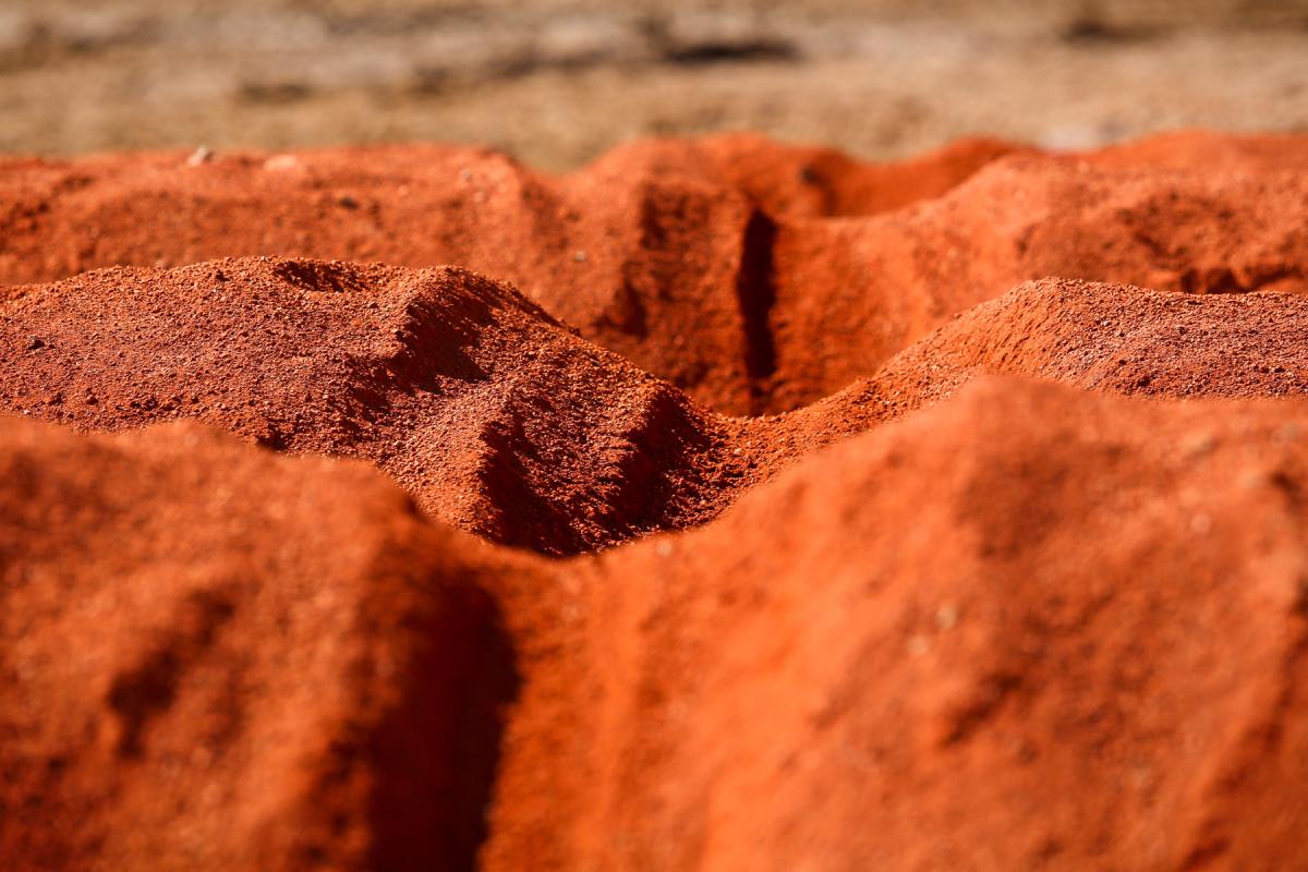 A Different View: Monster Cup