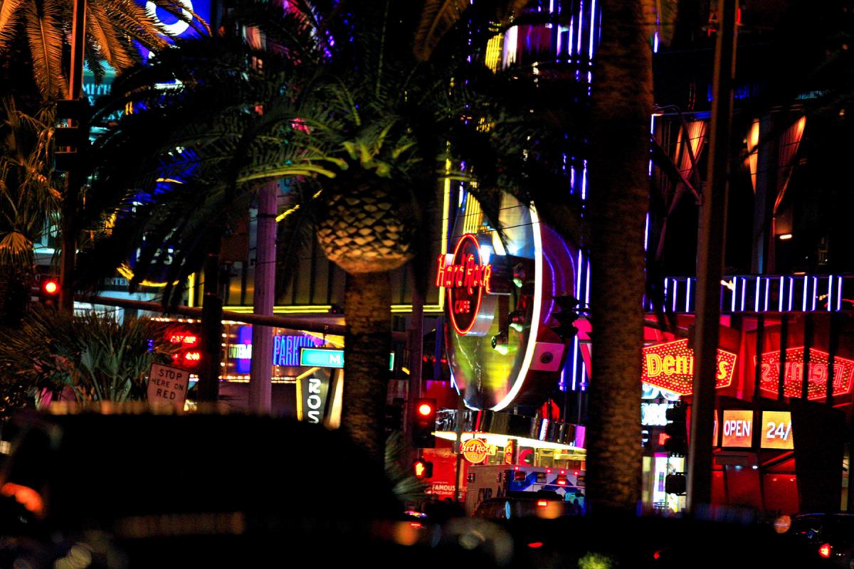 A Different View: Monster Cup