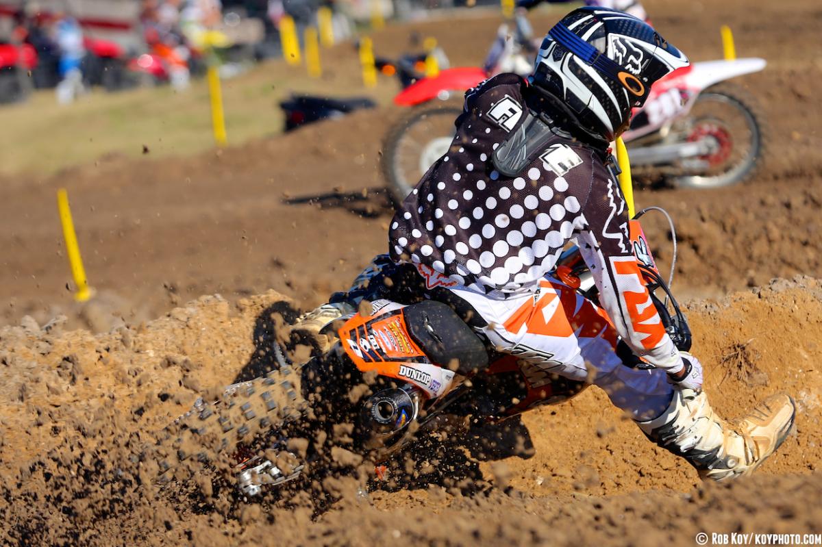 Mini Os Prep at Gatorback