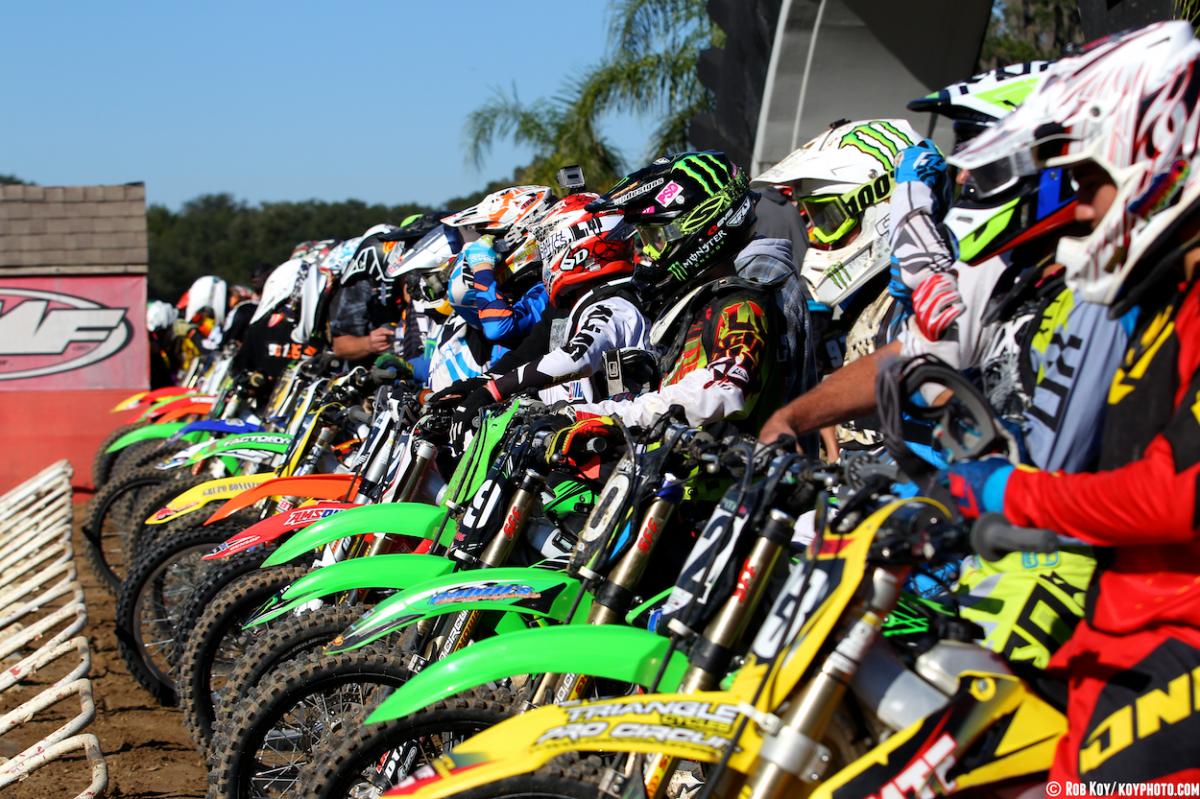 Mini Os Prep at Gatorback