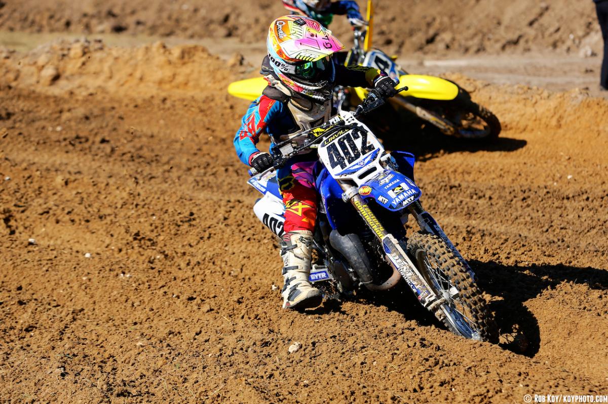 Mini Os Prep at Gatorback