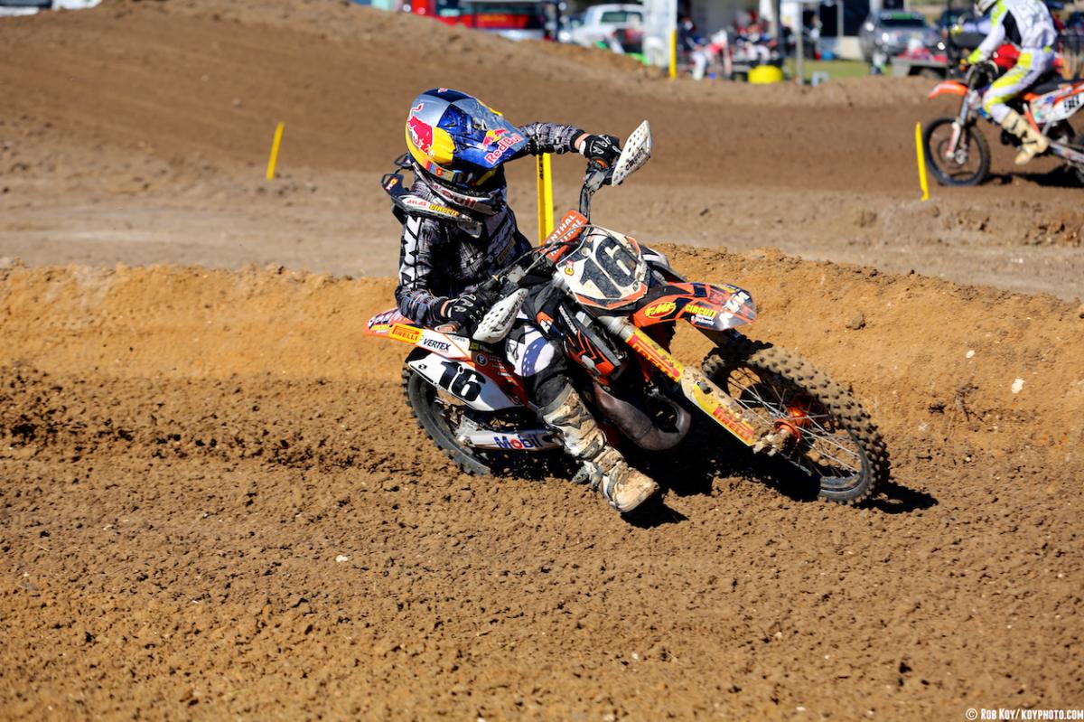 Mini Os Prep at Gatorback