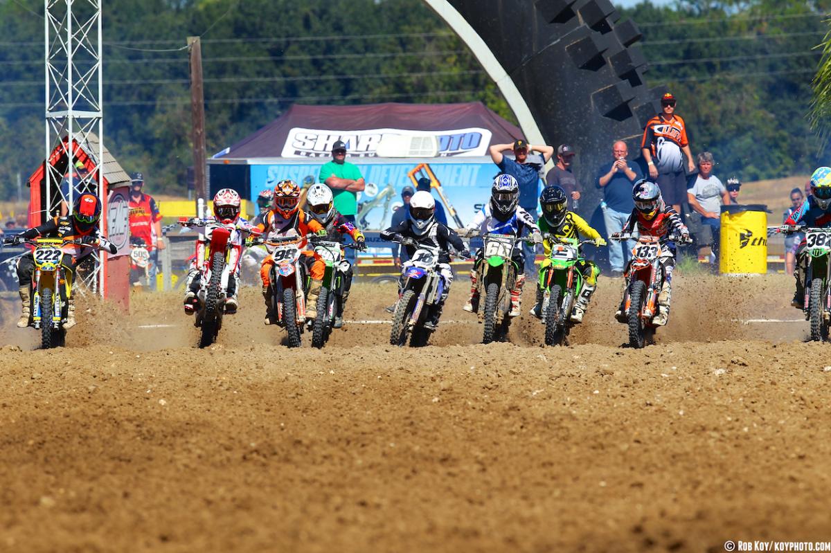 Mini Os Prep at Gatorback