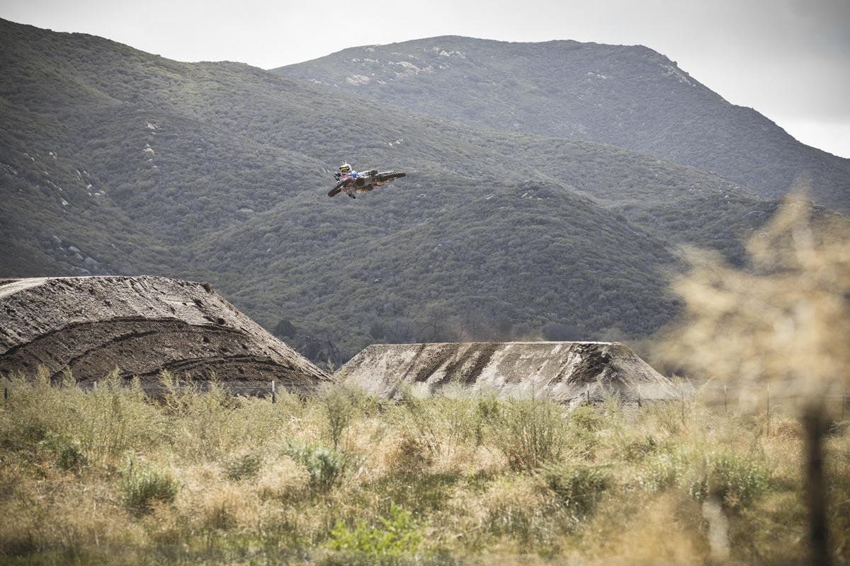 Red Bull Straight Rhythm Gallery