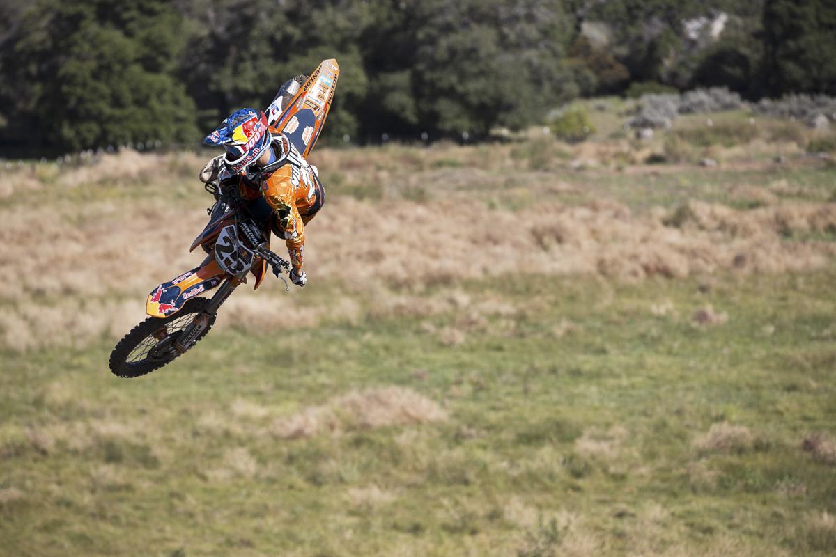 Red Bull Straight Rhythm Gallery