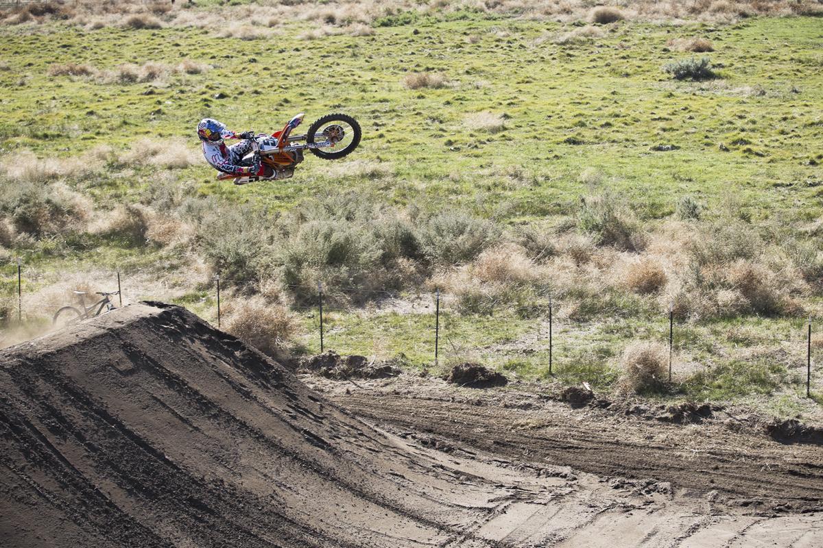 Red Bull Straight Rhythm Gallery