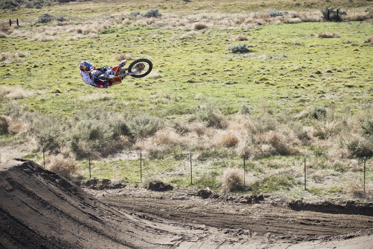 Red Bull Straight Rhythm Gallery