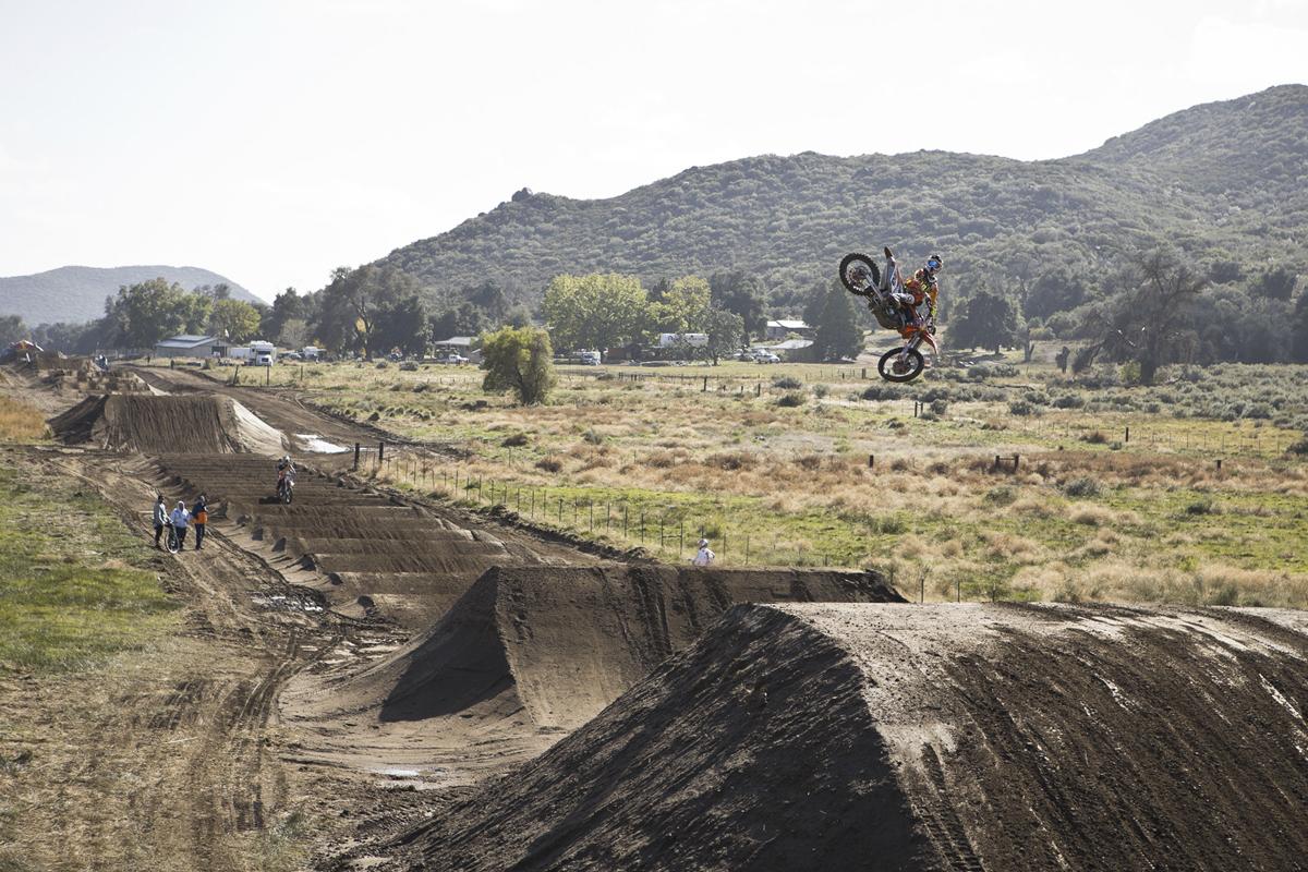 Red Bull Straight Rhythm Gallery