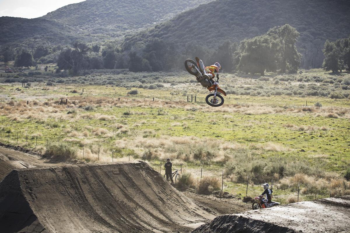 Red Bull Straight Rhythm Gallery