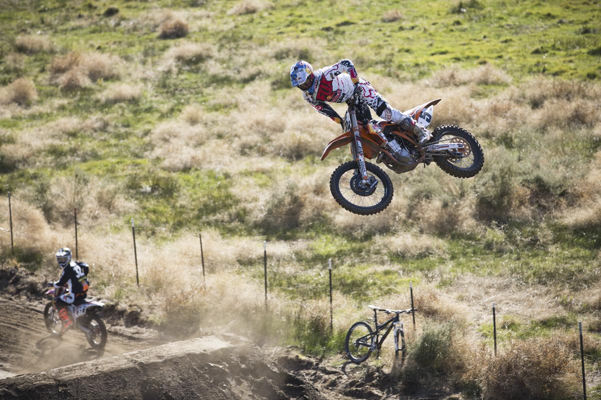 Red Bull Straight Rhythm Gallery