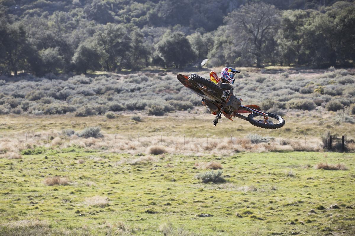 Red Bull Straight Rhythm Gallery