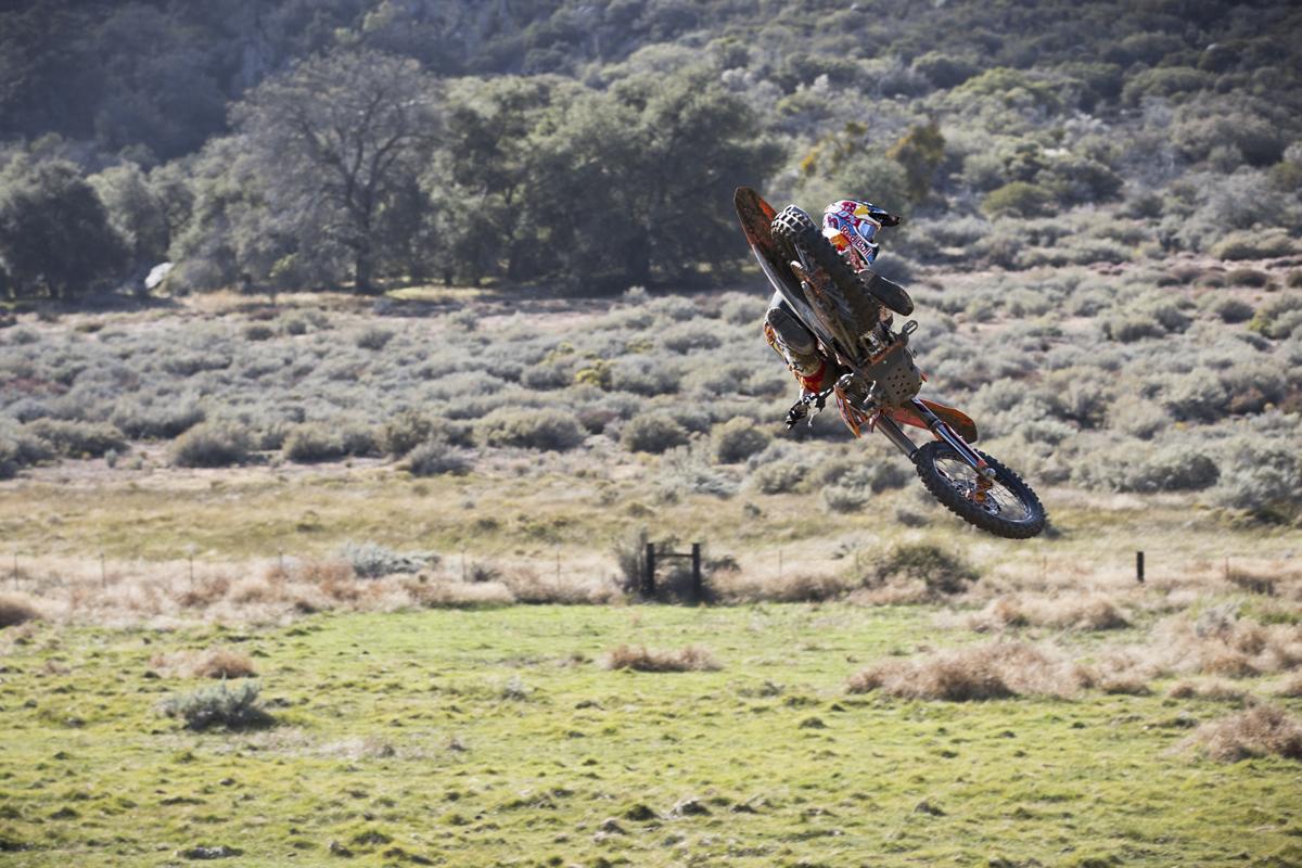 Red Bull Straight Rhythm Gallery