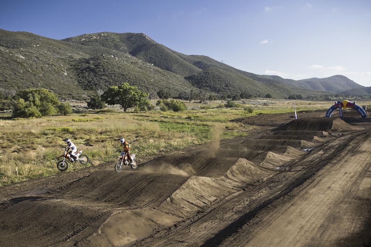 Red Bull Straight Rhythm Gallery