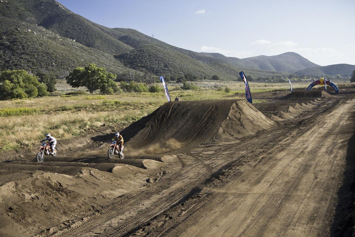 Red Bull Straight Rhythm Gallery