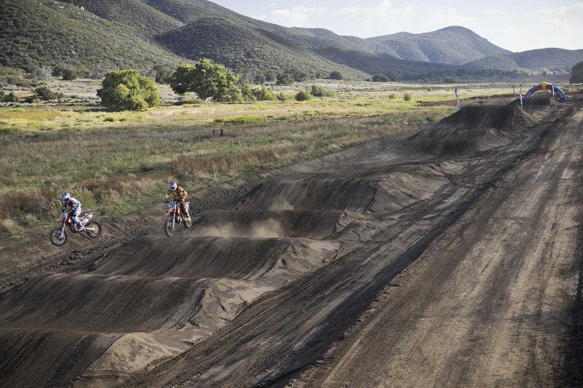 Red Bull Straight Rhythm Gallery