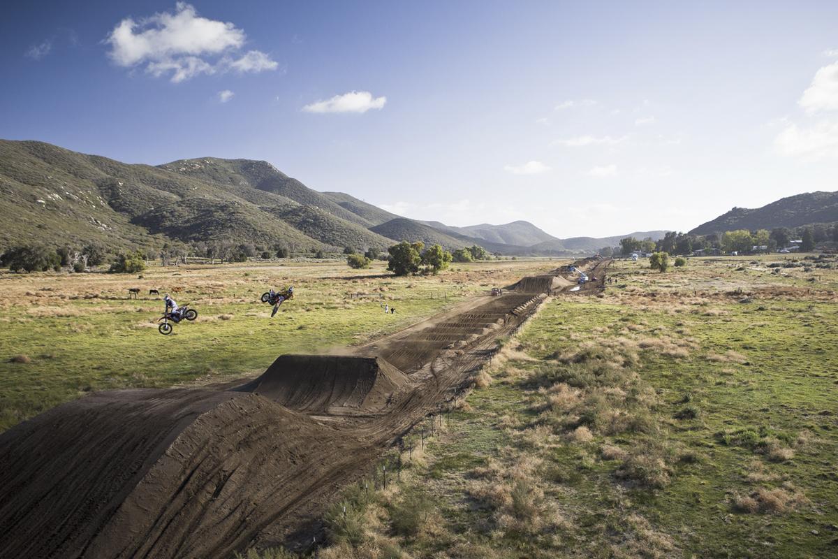 Red Bull Straight Rhythm Gallery