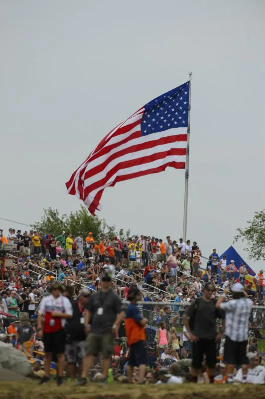Veterans Day Gallery