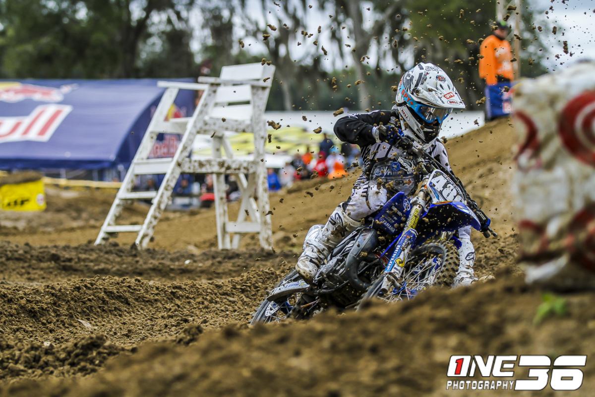 Mini Os Wednesday Gallery /  Jeffrey Keeble photo