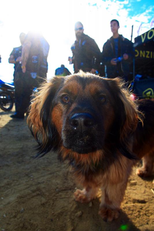 A Day in the Dirt Gallery