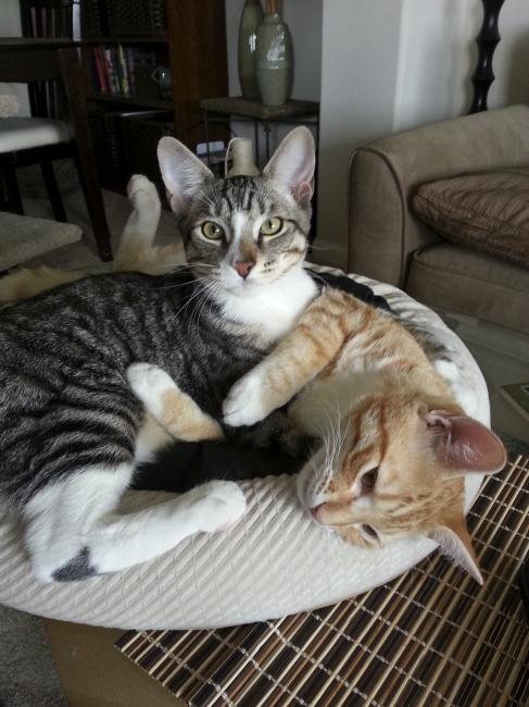 ...and my two little kids, Leo and Bella