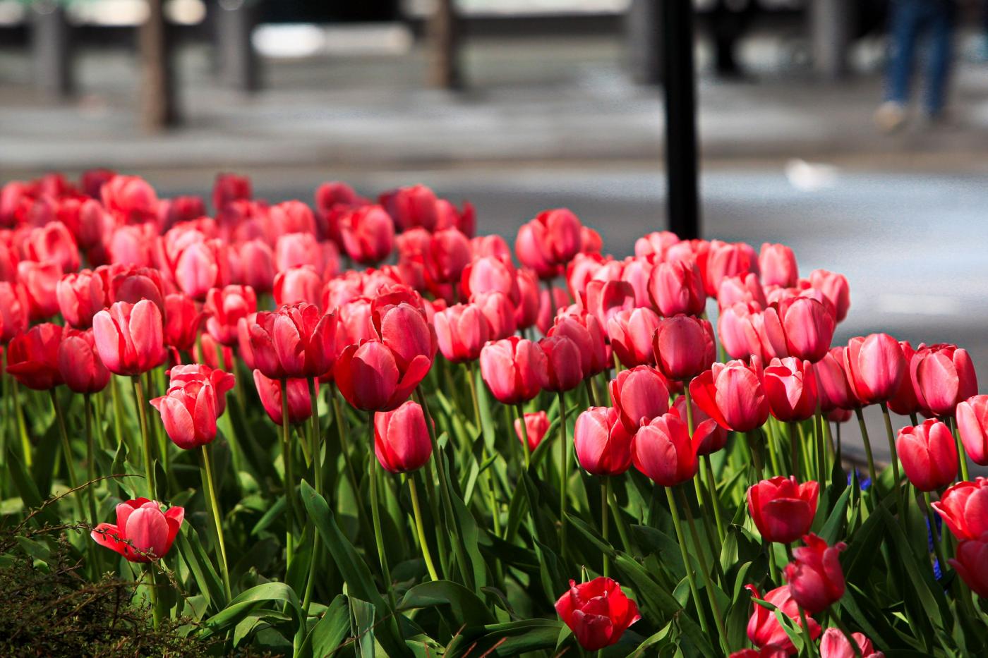 Take Two: New Jersey