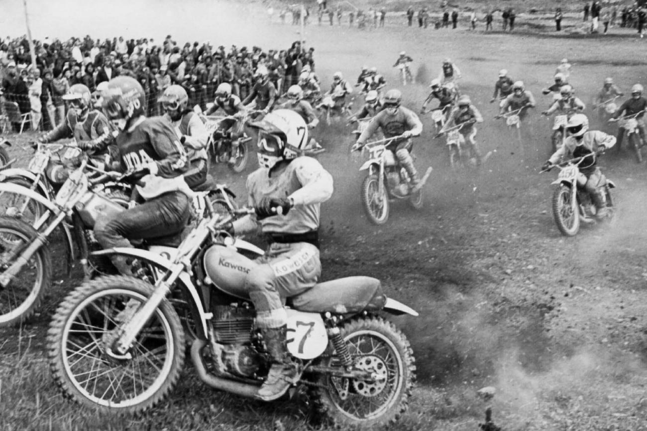 Searching for Hamersville