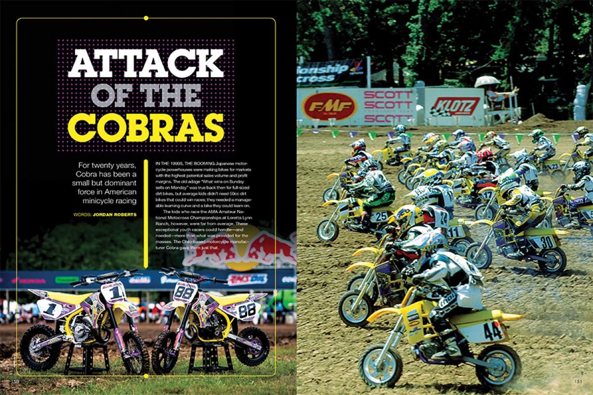 ATTACK OF THE COBRAS 